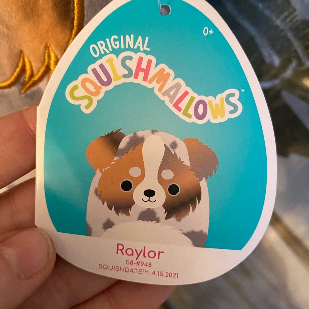 Raylor the Australian shephard squishmallows. 8”